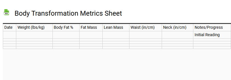 Body Transformation Metrics Sheet
