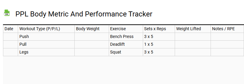 PPL Body Metric and Performance Tracker