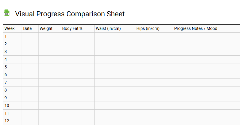 Visual Progress Comparison Sheet