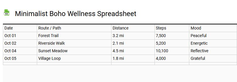 Minimalist Boho Wellness Spreadsheet