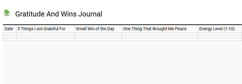 Gratitude and Wins Journal