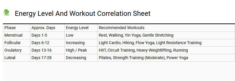 Energy Level and Workout Correlation Sheet