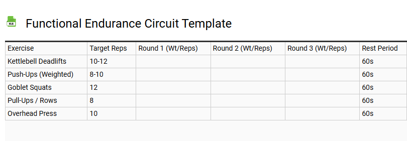Functional Endurance Circuit Template