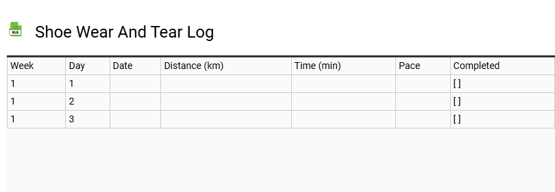 Shoe Wear and Tear Log