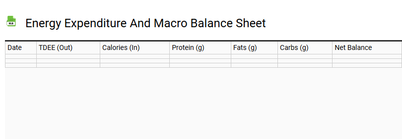 Energy Expenditure and Macro Balance Sheet
