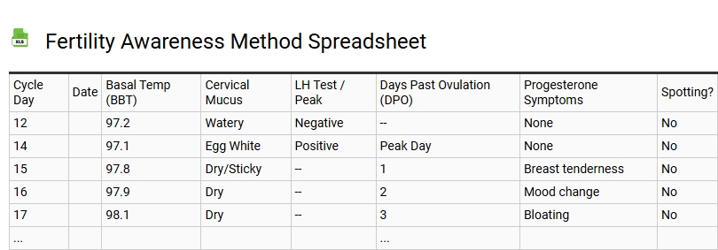 Fertility Awareness Method Spreadsheet