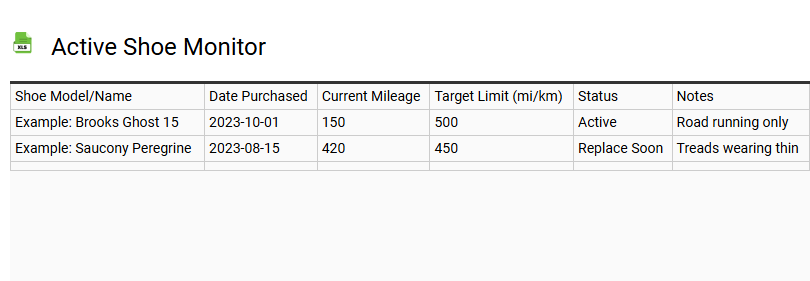 Active Shoe Monitor