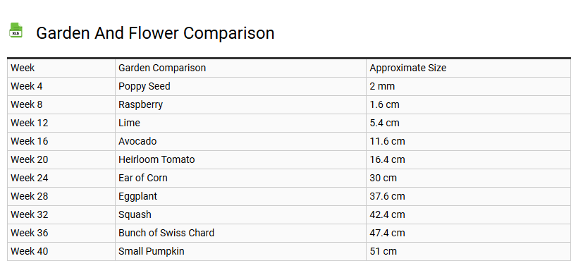 Garden and Flower Comparison