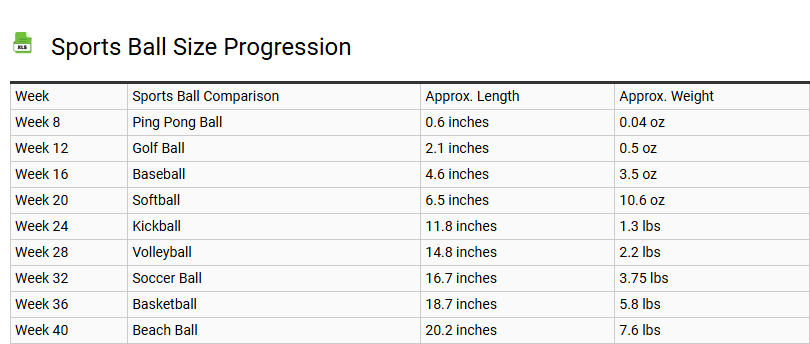 Sports Ball Size Progression