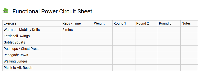Functional Power Circuit Sheet