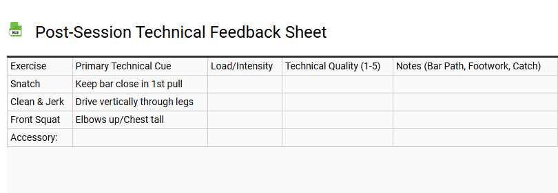 Post-Session Technical Feedback Sheet