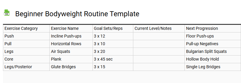 Beginner Bodyweight Routine Template
