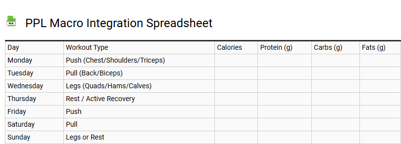 PPL Macro Integration Spreadsheet