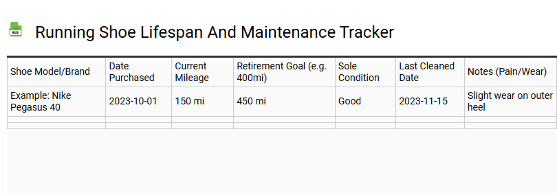 Running Shoe Lifespan and Maintenance Tracker