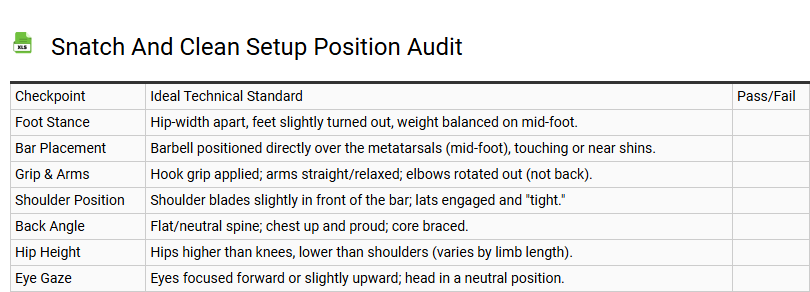 Snatch and Clean Setup Position Audit