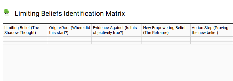 Limiting Beliefs Identification Matrix