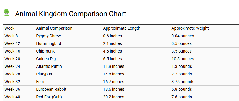 Animal Kingdom Comparison Chart