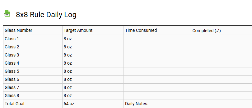 8x8 Rule Daily Log