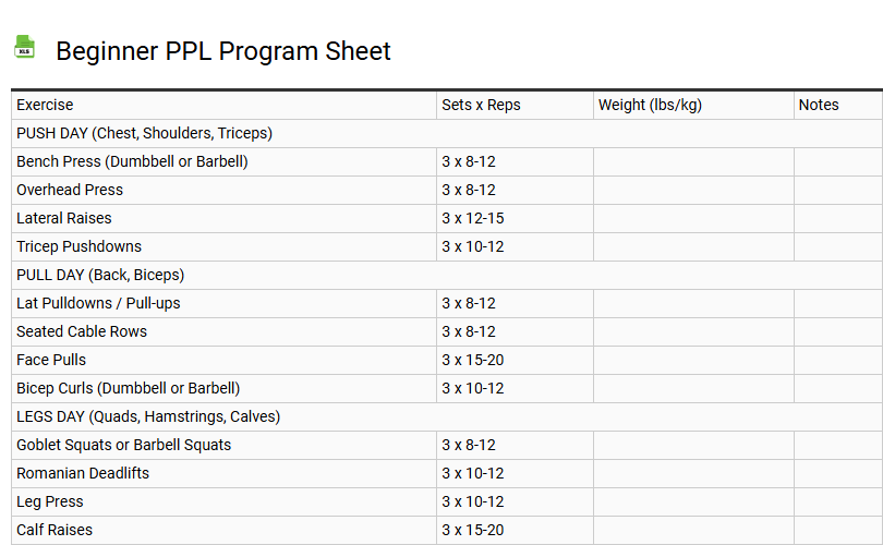 Beginner PPL Program Sheet