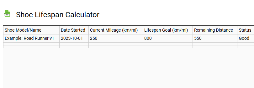 Shoe Lifespan Calculator