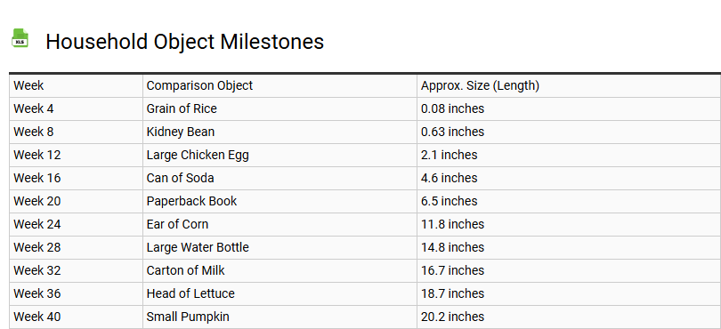 Household Object Milestones