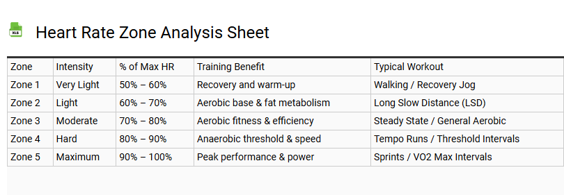 Heart Rate Zone Analysis Sheet