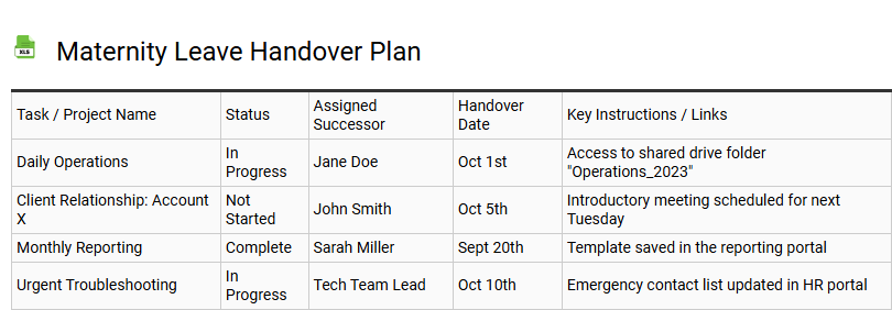 Maternity Leave Handover Plan
