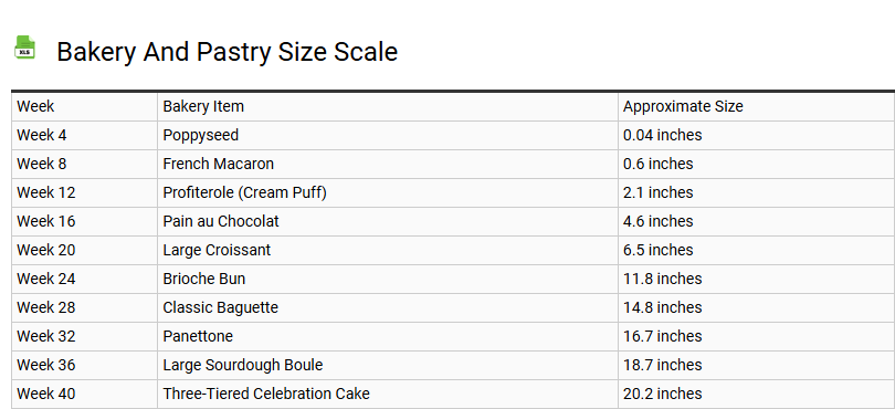 Bakery and Pastry Size Scale